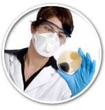 Remove Duct Mold